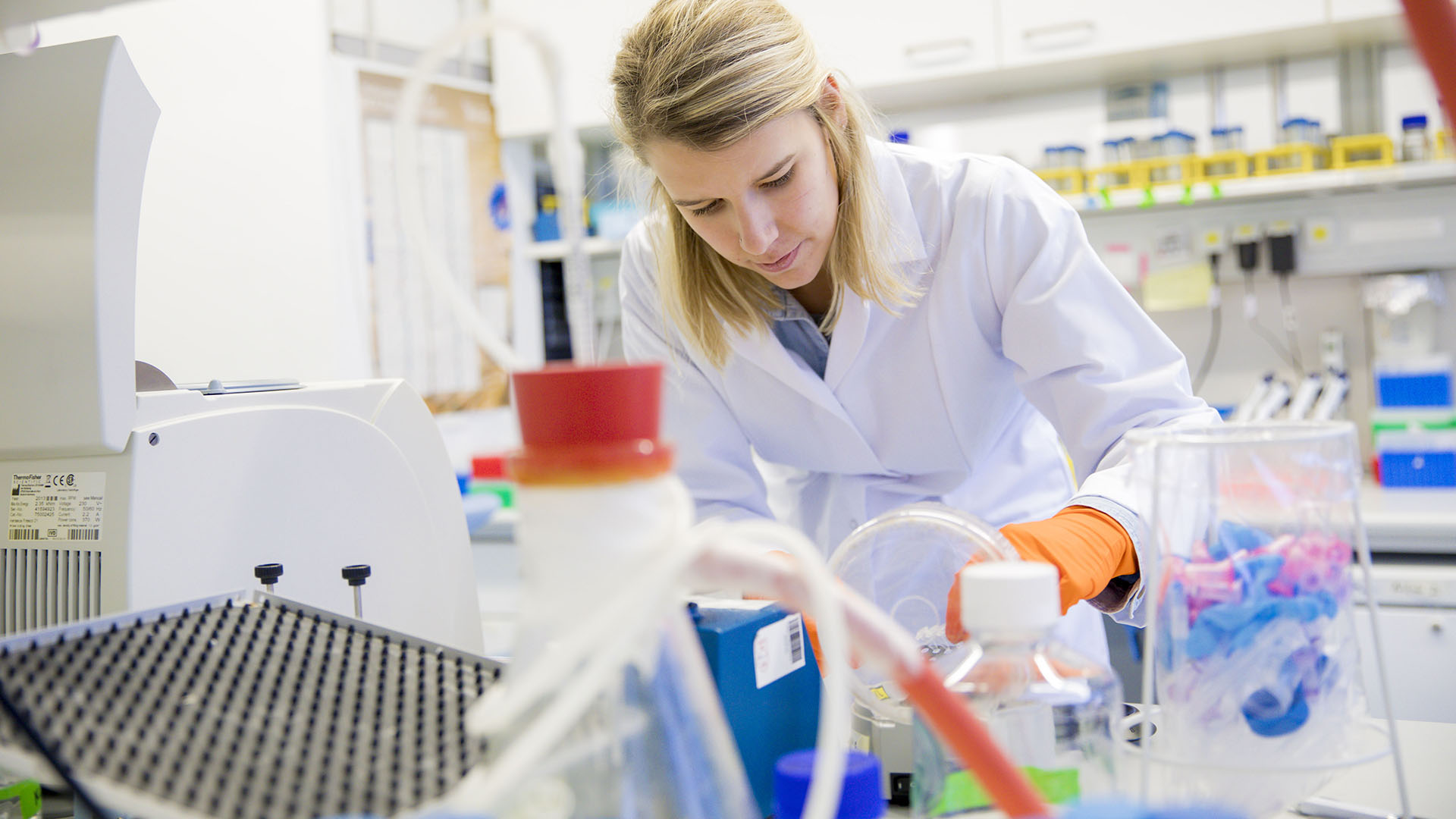We are pioneers. Our mission is… sharing our expertise with the world