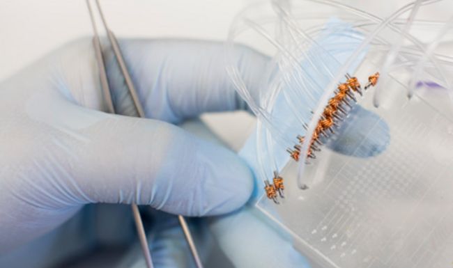 Targeted estrogen delivery reverses the metabolic syndrome